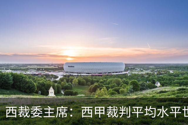 西裁委主席：西甲裁判平均水平世界最佳，误判难免
